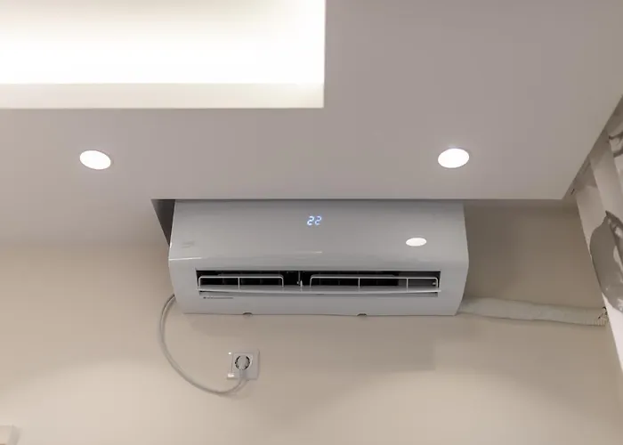 Danijela Daire Novi Sad